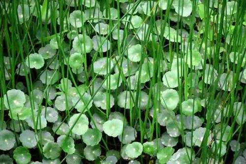 《山西省生态环境保护条例》全文公布 自2026年1月1日起施行