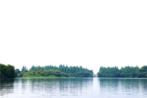 安顺：科技赋能生态治理 智慧守护碧水蓝天