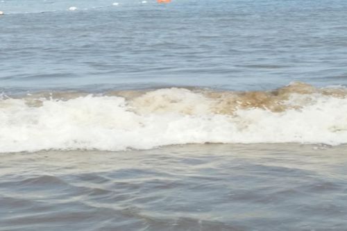 苏州：&ldquo;黑灯实验室&rdquo;再添新成员，水质检测迈向智能无人化