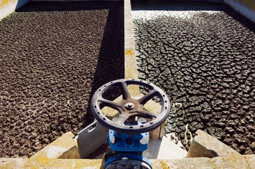 珠江水利委员会圆满完成2025年度节水诊断公益服务工作