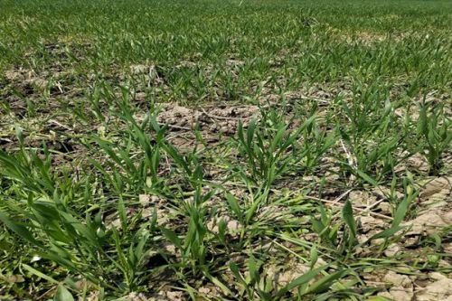 淮北市濉溪县聚焦&ldquo;控气治水护土&rdquo;推动生态环境质量稳步提升