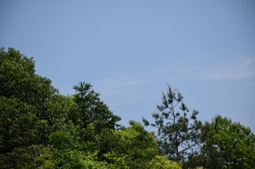 亳州市：多措并举推进废弃矿山变绿水青山