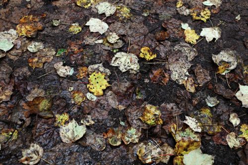 广西扎实推进新污染物监测工作，持续筑牢祖国南方生态安全屏障