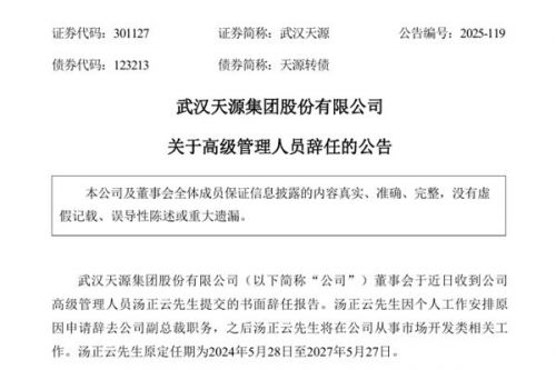 武汉天源副总裁辞任