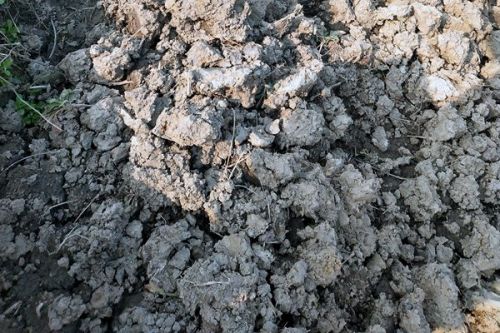 9552.6万！永清环保预中标湖南土壤污染治理项目