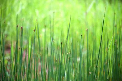 中国代表团出席第七届联合国环境大会