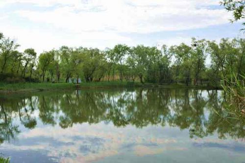 68.6亿！中国葛洲坝集团联合体预中标陕西安康流域生态综合治理项目