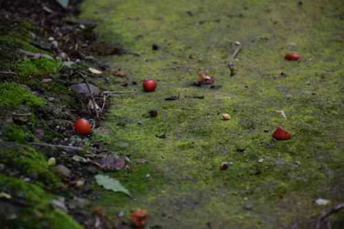 《国土空间规划实施监测网络建设技术指南（试行）》印发