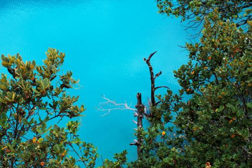 上海市经济信息化委公布2025年度零碳企业(园区)！