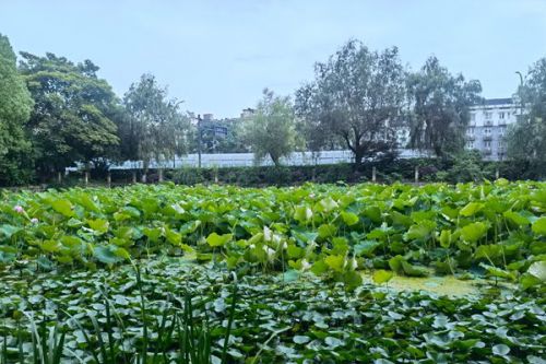 1.52亿！河北省景县第二污水处理厂一期工程项目EPC工程总承包中标