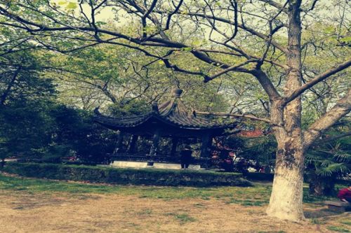 查干湖周边35个村屯生活污水治理设施将全面覆盖