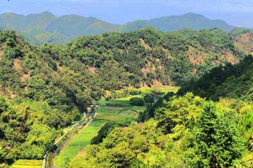 发布会实录∣珠海生态环境质量与建设用地污染防治情况通报