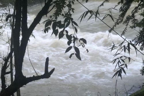 《黄南藏族自治州黄河支流保护条例》2026年1月1日起施行！