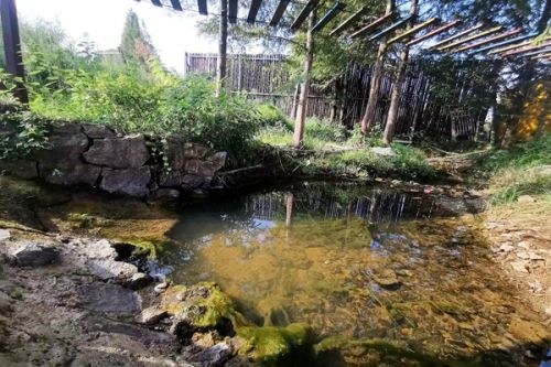 鹏鹞环保丨沅陵县城南污水处理厂顺利通过竣工验收