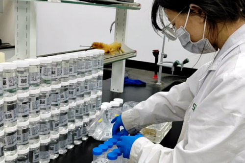 实朴检测2025年国家海洋环境质量监测项目完美收官