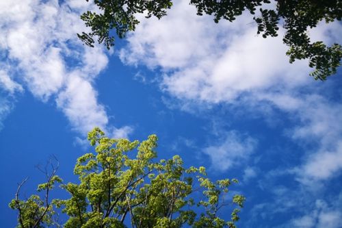 六安市舒城县多措并举打好蓝天保卫战