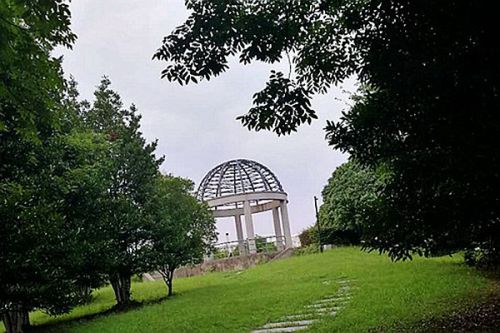 《盐城市扬尘污染防治条例》修改发布！