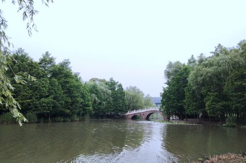 白城市国省控断面优良水体比例创&ldquo;十四五&rdquo;新高 水生态环境改善显著