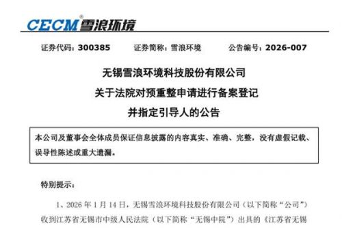 雪浪环境启动预重整