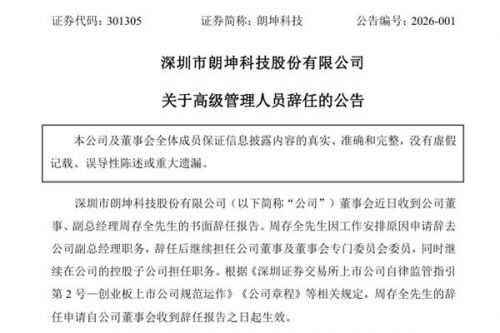 朗坤科技副总经理辞任