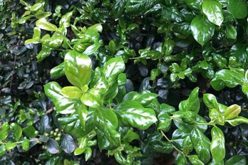 黑龙江省土壤、地下水和农村生态环境形势分析报告：&ldquo;十五五&rdquo;剑指全域系统治理