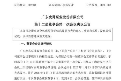 凌霄泵业：选举王海波为第十二届董事会董事长