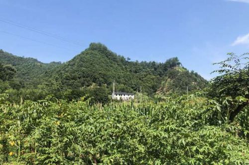 《生态环境分区管控信息平台建设指南》《生态环境分区管控信息平台接口规范》答记者问