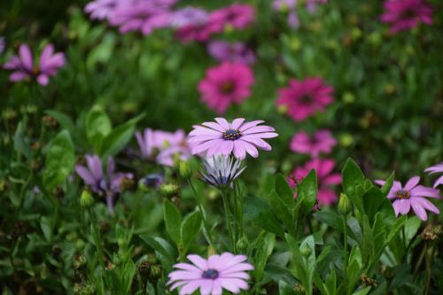 生态环境部环境影响评价与排放管理司有关负责人就《生态环境分区管控技术指南 总纲》（HJ 1430-2025）答记者问