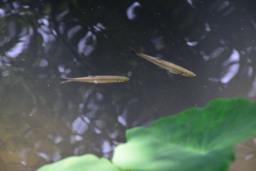 半导体超纯水、废水运维，莱特莱德专业护航！