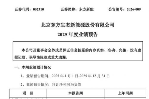 东方新能：预计2025年净利润亏损5500万元&ndash;7500万元