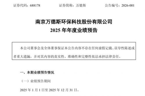 万德斯：预计2025年净利润亏损8500万元&mdash;12500万元