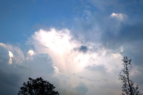 天洁环境斩获华润电力温州湿式电除尘EPC项目