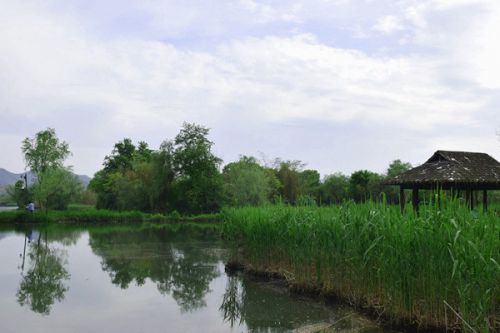 部常务会议、1月例行新闻发布会&hellip;&hellip;生态环境部一周要闻（1.25&mdash;1.31）