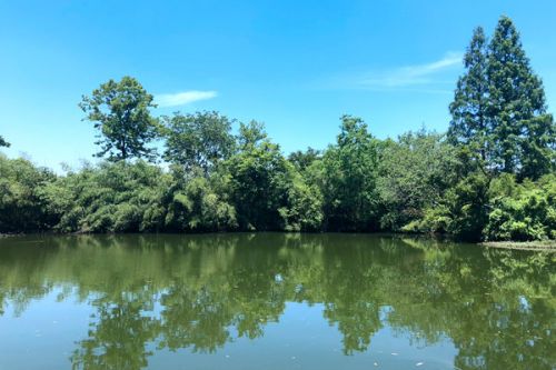 朱国栋任北控集团董事长，杨治昌任总经理