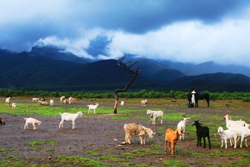 推动全面绿色转型！2026年青海省政府工作报告（全文）出炉