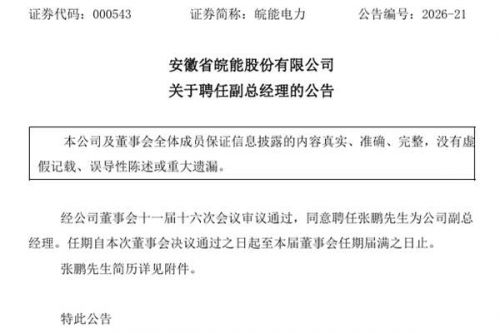 皖能电力聘任副总经理