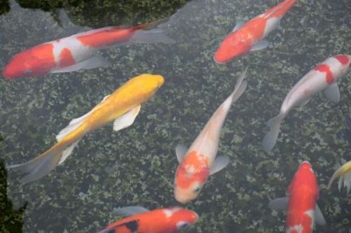 环保新质生产力|安徽（淮北）新型煤化工合成材料基地水资源分质结晶综合利用项目