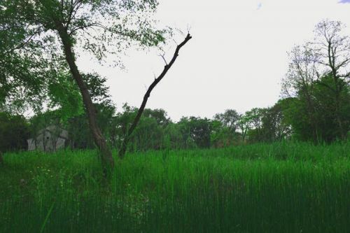 中国地质环境监测院与中国地质调查局水文地质环境地质调查中心携手深化合作