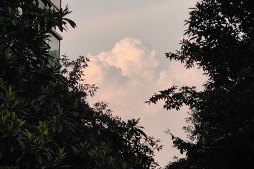 宣城市&ldquo;点线面&rdquo;齐发力 提升扬尘治理管控水平