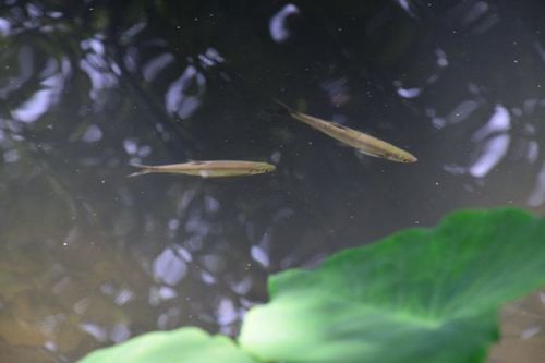 《江苏省太湖水污染防治条例（修订草案征求意见稿）》征求意见