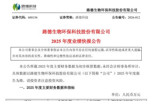 路德科技：2025年营业总收入同比上升37.85%，净利润亏损扩大