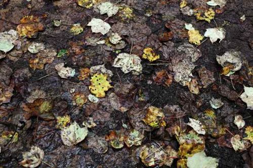 兵团第二轮第二批生态环境保护督察全面启动，进驻两地