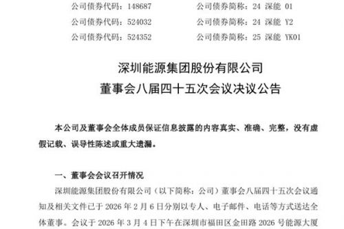 深圳能源副董事长调整