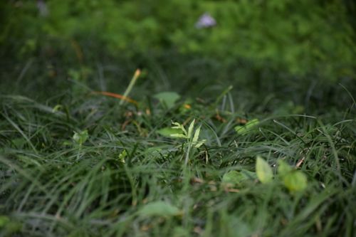 第二十批《江苏省建设用地土壤污染风险管控和修复名录》发布！