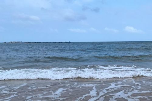 4.2亿！山东烟台市牟平区鱼鸟河污水处理厂特许经营项目招标计划发布