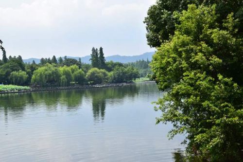 全面备战！广东各地部署迎接第三轮中央生态环保督察