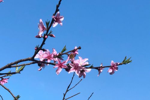 亳州市优化治理方式，巩固提升空气质量改善成果