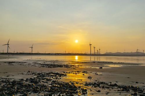 山东14个省委巡视组同步开展黄河流域生态保护和高质量发展专项巡视&ldquo;回头看&rdquo;