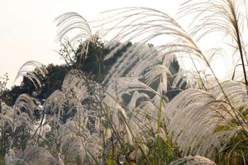 生态环境法典全文公布，迎接三大核心变革