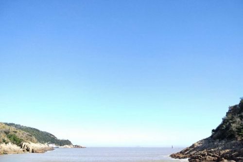 开展氢能综合应用试点工作，通知来了！